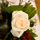 10 Jahre addc Feier